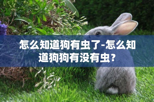 怎么知道狗有蟲了-怎么知道狗狗有沒有蟲？