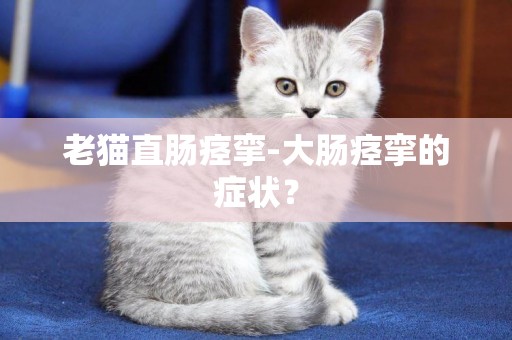 老貓直腸痙攣-大腸痙攣的癥狀？