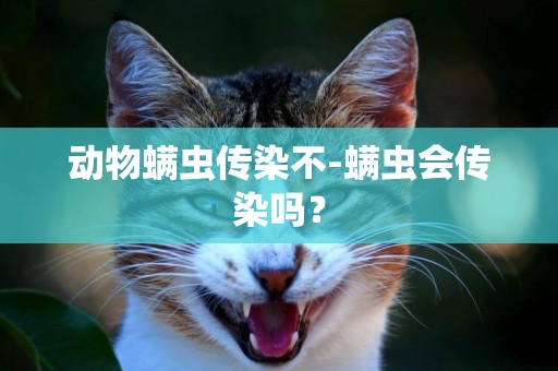 動物螨蟲傳染不-螨蟲會傳染嗎？