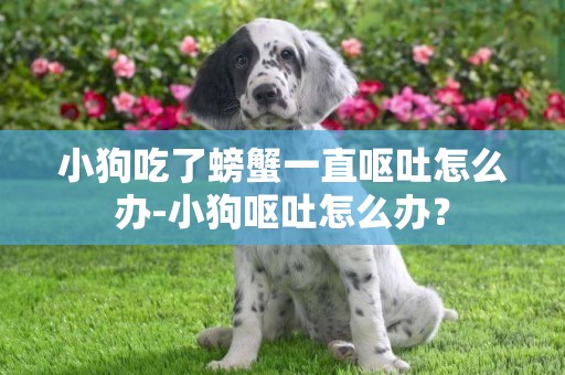 小狗吃了螃蟹一直嘔吐怎么辦-小狗嘔吐怎么辦？