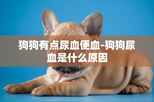狗狗有點尿血便血-狗狗尿血是什么原因