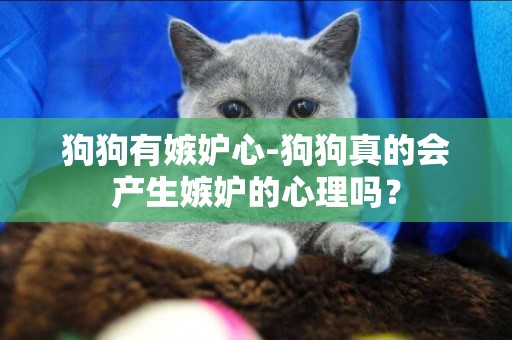 狗狗有嫉妒心-狗狗真的會產生嫉妒的心理嗎？
