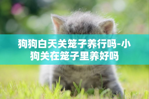 狗狗白天關籠子養行嗎-小狗關在籠子里養好嗎