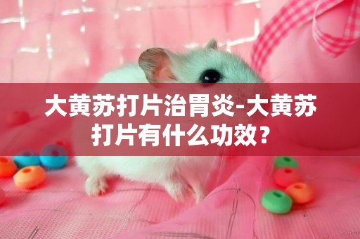 大黃蘇打片治胃炎-大黃蘇打片有什么功效？