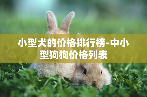 小型犬的價格排行榜-中小型狗狗價格列表