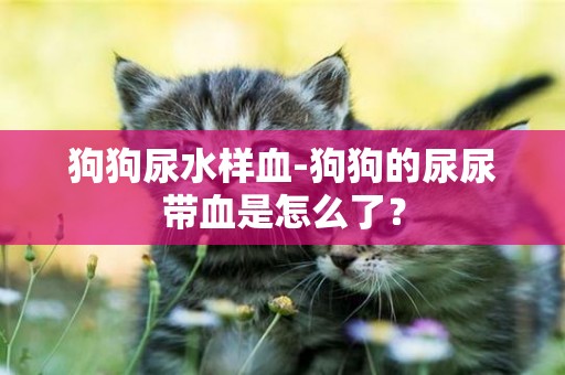 狗狗尿水樣血-狗狗的尿尿帶血是怎么了？