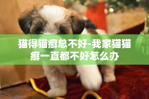 貓得貓癬總不好-我家貓貓癬一直都不好怎么辦
