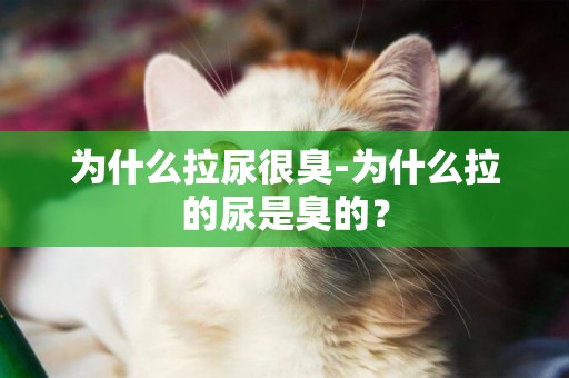 為什么拉尿很臭-為什么拉的尿是臭的？