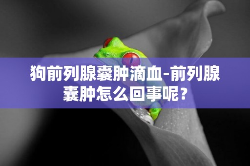 狗前列腺囊腫滴血-前列腺囊腫怎么回事呢？