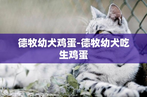 德牧幼犬雞蛋-德牧幼犬吃生雞蛋
