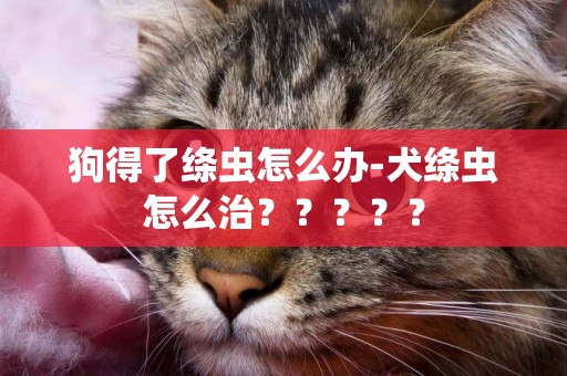 狗得了絳蟲怎么辦-犬絳蟲怎么治？？？？？