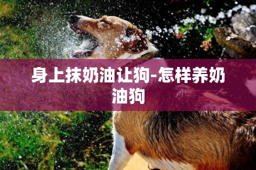 身上抹奶油讓狗-怎樣養奶油狗