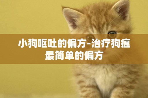 小狗嘔吐的偏方-治療狗瘟最簡單的偏方