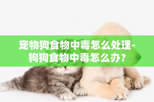 寵物狗食物中毒怎么處理-狗狗食物中毒怎么辦？