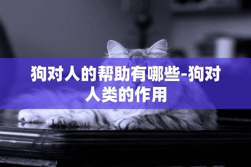 狗對人的幫助有哪些-狗對人類的作用