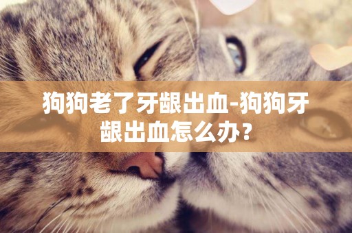 狗狗老了牙齦出血-狗狗牙齦出血怎么辦？