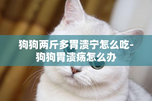 狗狗兩斤多胃潰寧怎么吃-狗狗胃潰瘍怎么辦
