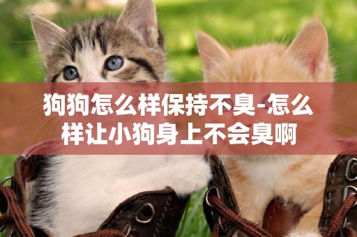 狗狗怎么樣保持不臭-怎么樣讓小狗身上不會臭啊