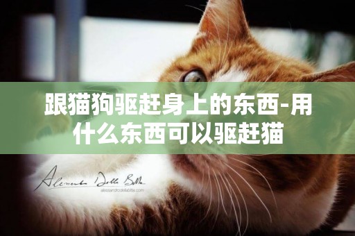 跟貓狗驅趕身上的東西-用什么東西可以驅趕貓