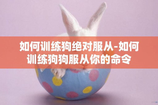 如何訓練狗絕對服從-如何訓練狗狗服從你的命令