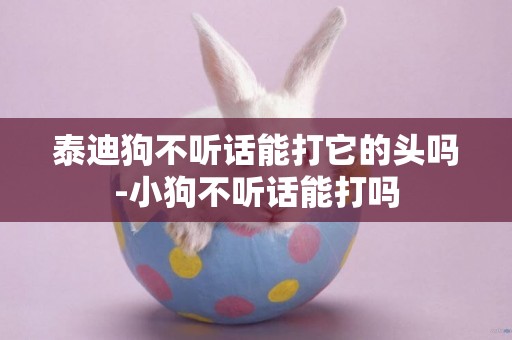 泰迪狗不聽話能打它的頭嗎-小狗不聽話能打嗎