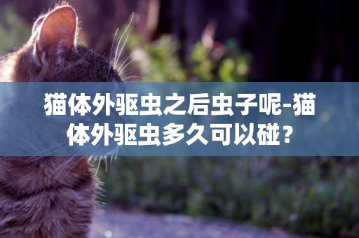 貓體外驅蟲之后蟲子呢-貓體外驅蟲多久可以碰？