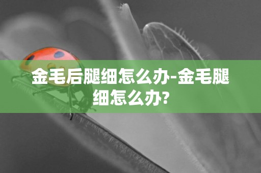 金毛后腿細怎么辦-金毛腿細怎么辦?