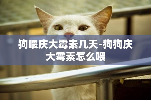 狗喂慶大霉素幾天-狗狗慶大霉素怎么喂