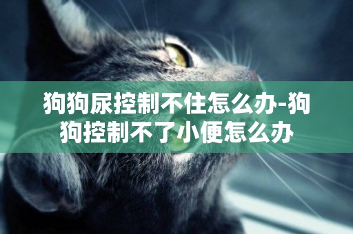 狗狗尿控制不住怎么辦-狗狗控制不了小便怎么辦