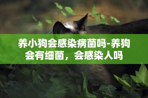 養小狗會感染病菌嗎-養狗會有細菌，會感染人嗎