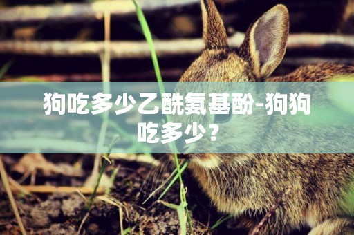 狗吃多少乙酰氨基酚-狗狗吃多少？