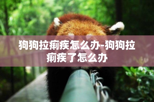狗狗拉痢疾怎么辦-狗狗拉痢疾了怎么辦