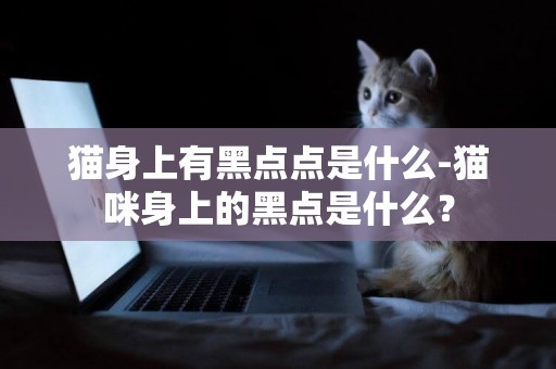 貓身上有黑點點是什么-貓咪身上的黑點是什么？