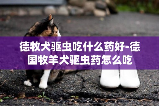 德牧犬驅蟲吃什么藥好-德國牧羊犬驅蟲藥怎么吃
