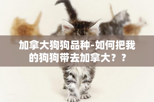 加拿大狗狗品種-如何把我的狗狗帶去加拿大？？