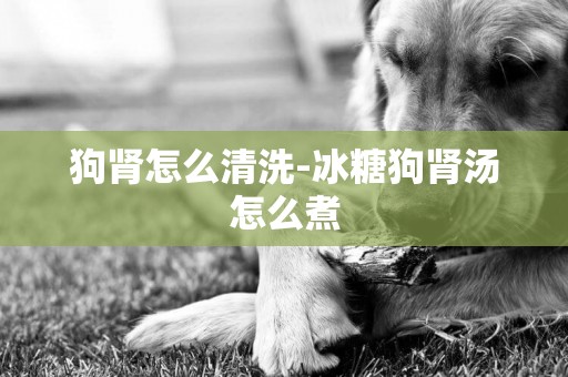 狗腎怎么清洗-冰糖狗腎湯怎么煮