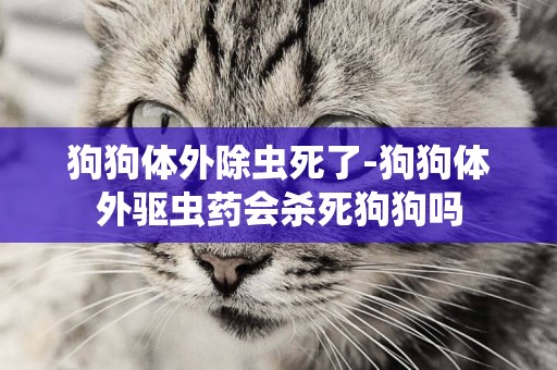 狗狗體外除蟲死了-狗狗體外驅蟲藥會殺死狗狗嗎