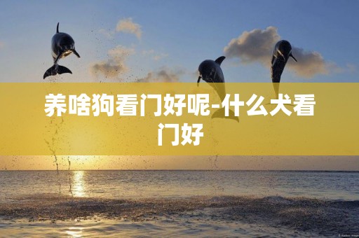養啥狗看門好呢-什么犬看門好
