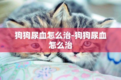 狗狗尿血怎么治-狗狗尿血怎么治