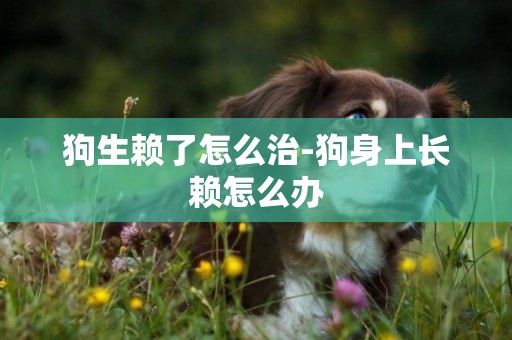 狗生賴了怎么治-狗身上長賴怎么辦