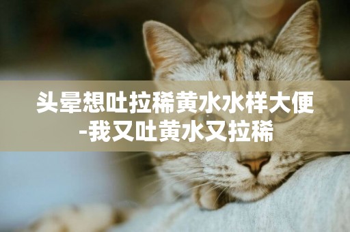 頭暈想吐拉稀黃水水樣大便-我又吐黃水又拉稀