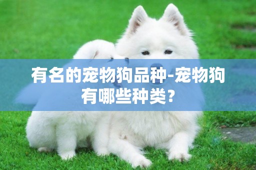 有名的寵物狗品種-寵物狗有哪些種類？