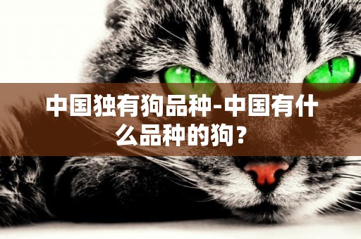 中國獨有狗品種-中國有什么品種的狗？