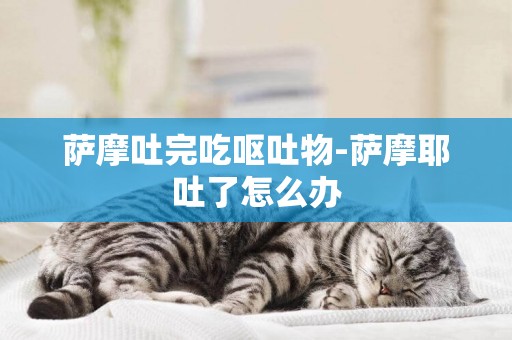 薩摩吐完吃嘔吐物-薩摩耶吐了怎么辦