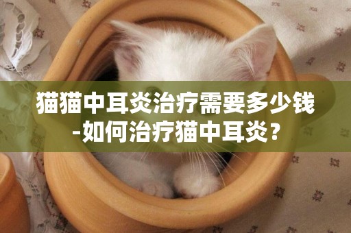 貓貓中耳炎治療需要多少錢-如何治療貓中耳炎？