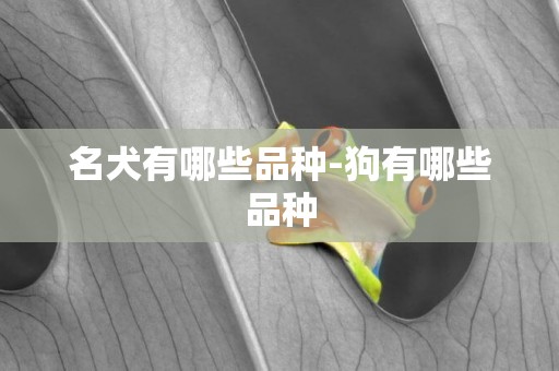 名犬有哪些品種-狗有哪些品種