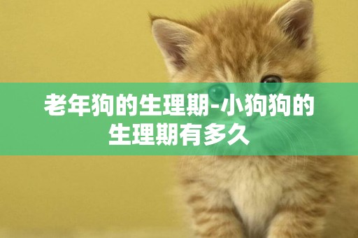老年狗的生理期-小狗狗的生理期有多久