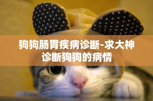 狗狗腸胃疾病診斷-求大神診斷狗狗的病情