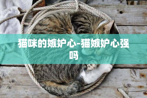 貓咪的嫉妒心-貓嫉妒心強嗎