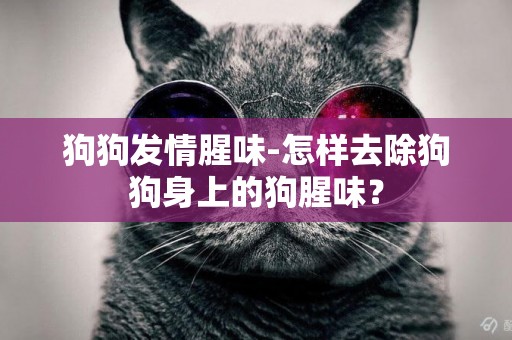 狗狗發情腥味-怎樣去除狗狗身上的狗腥味？